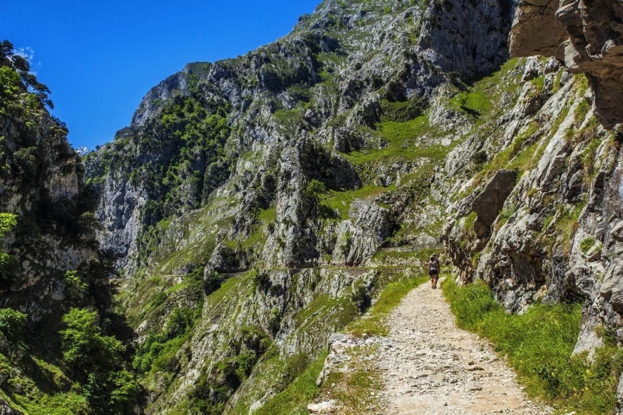 سان بيفينتي ديلا باركيرا El Mirador De Meron المظهر الخارجي الصورة